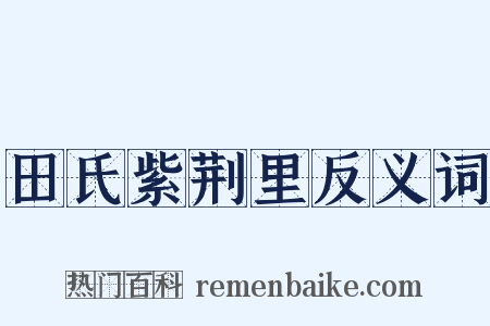 田氏紫荆里反义词是什么意思的图片